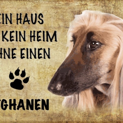 Schild Spruch Haus ist keine Heim ohne Afghanen Hund JW