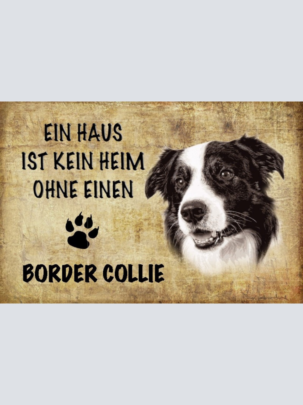 Schild Spruch Haus ist kein Heim ohne Border Collie Hund JW