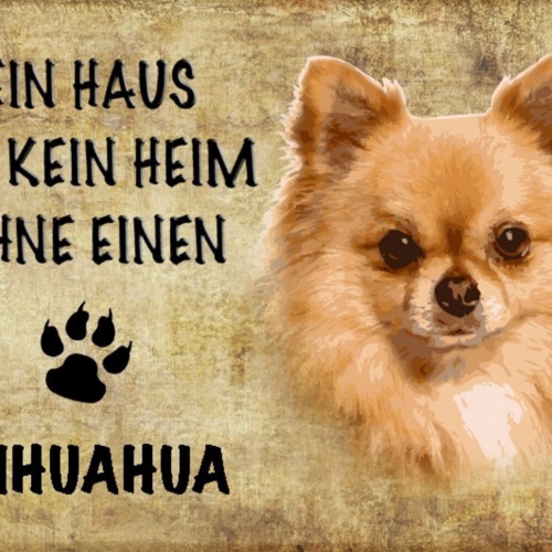 Schild Spruch Haus ist kein Heim ohne Chihuahua Hund JW