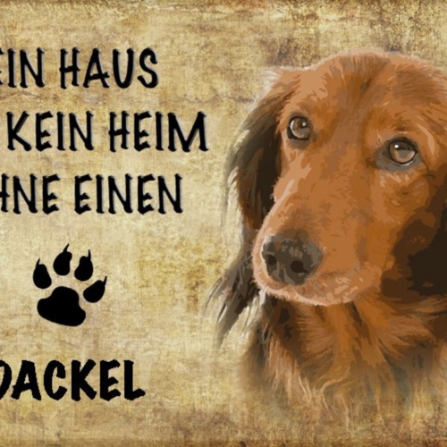 Schild Spruch Haus ist kein Heim ohne Dackel Hund JW