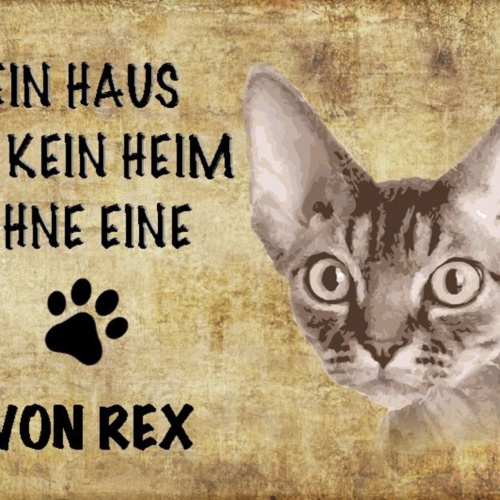 Schild Spruch Haus ist kein Heim ohne Devon Rex Katze JW