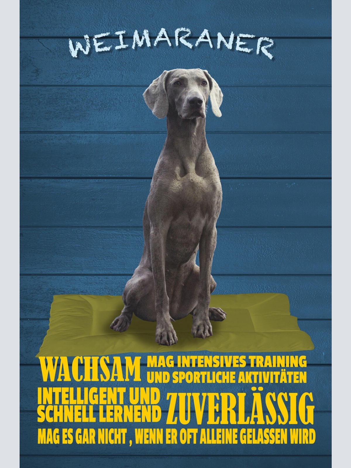 Schild Spruch Weimaraner Steckbrief Wachsam Zuverlässig Hund JW