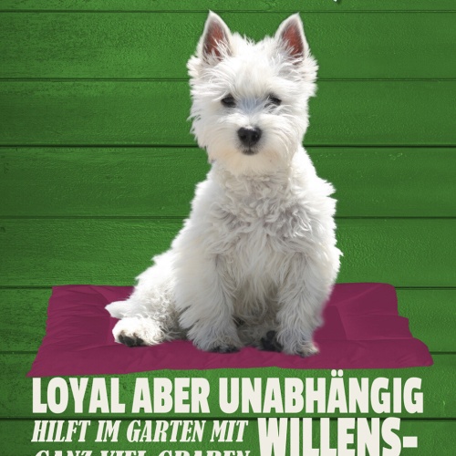 Schild Spruch West Highland Terrier Steckbrief Loyal aber Unabhängig Hund JW