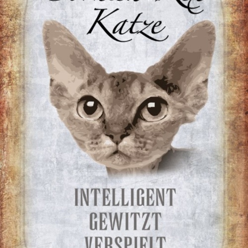 Schild Spruch Cornish Rex Katze Steckbrief Intelligent Gewitzt JW