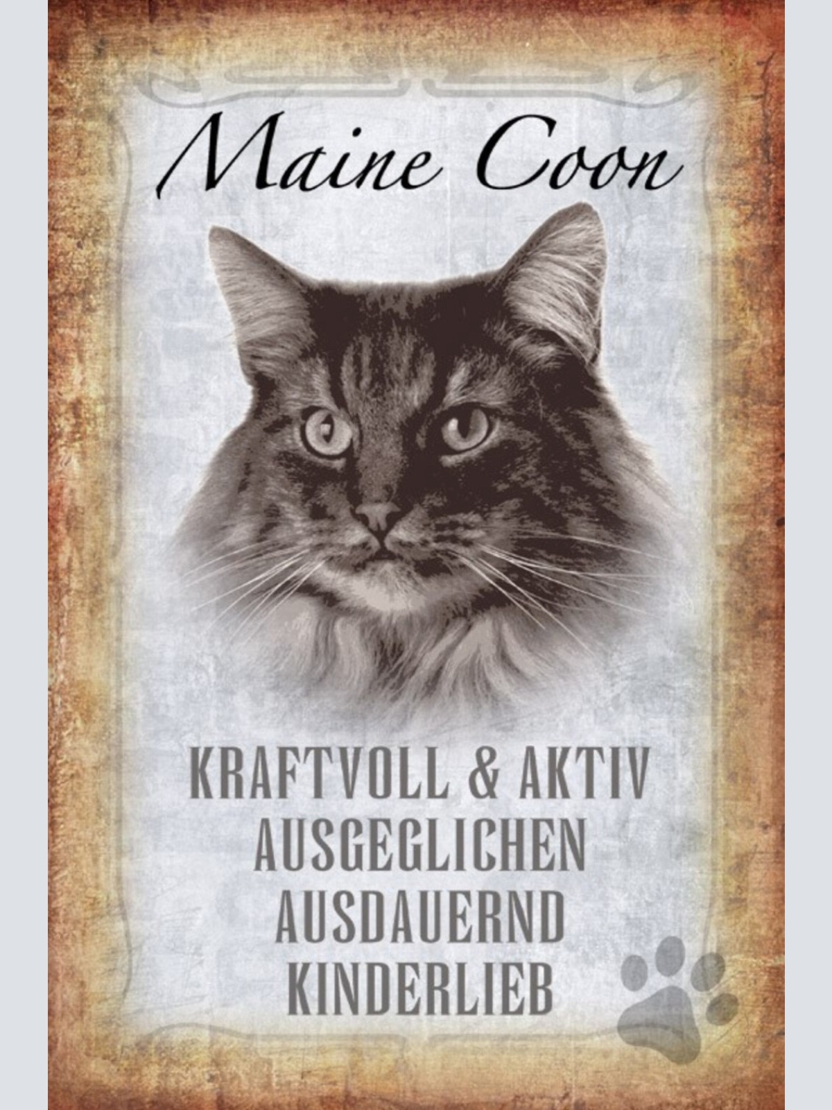 Schild Spruch Maine Coon Katze Steckbrief Kraftvoll Kinderlieb JW