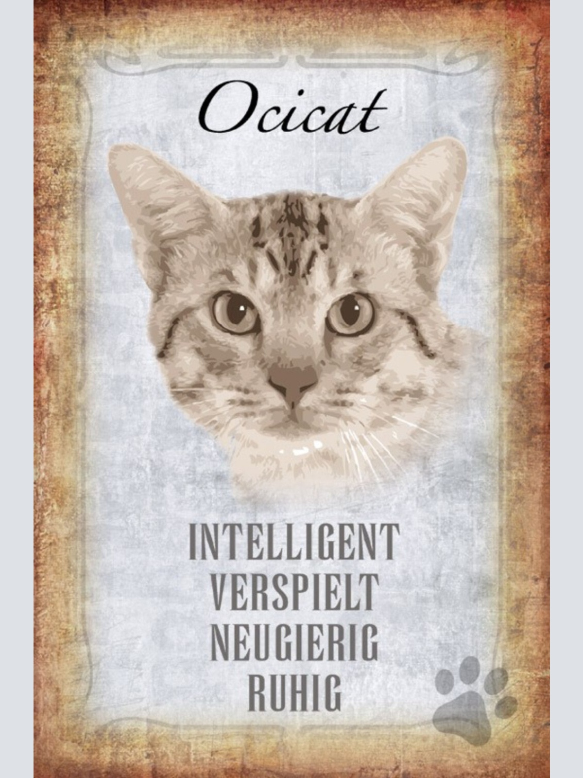 Schild Spruch Ocicat Katze Steckbrief Intelligent Verspielt JW