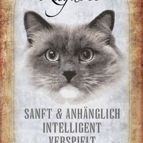 Schild Spruch Ragdoll Katze Steckbrief Sanft Intelligent JW