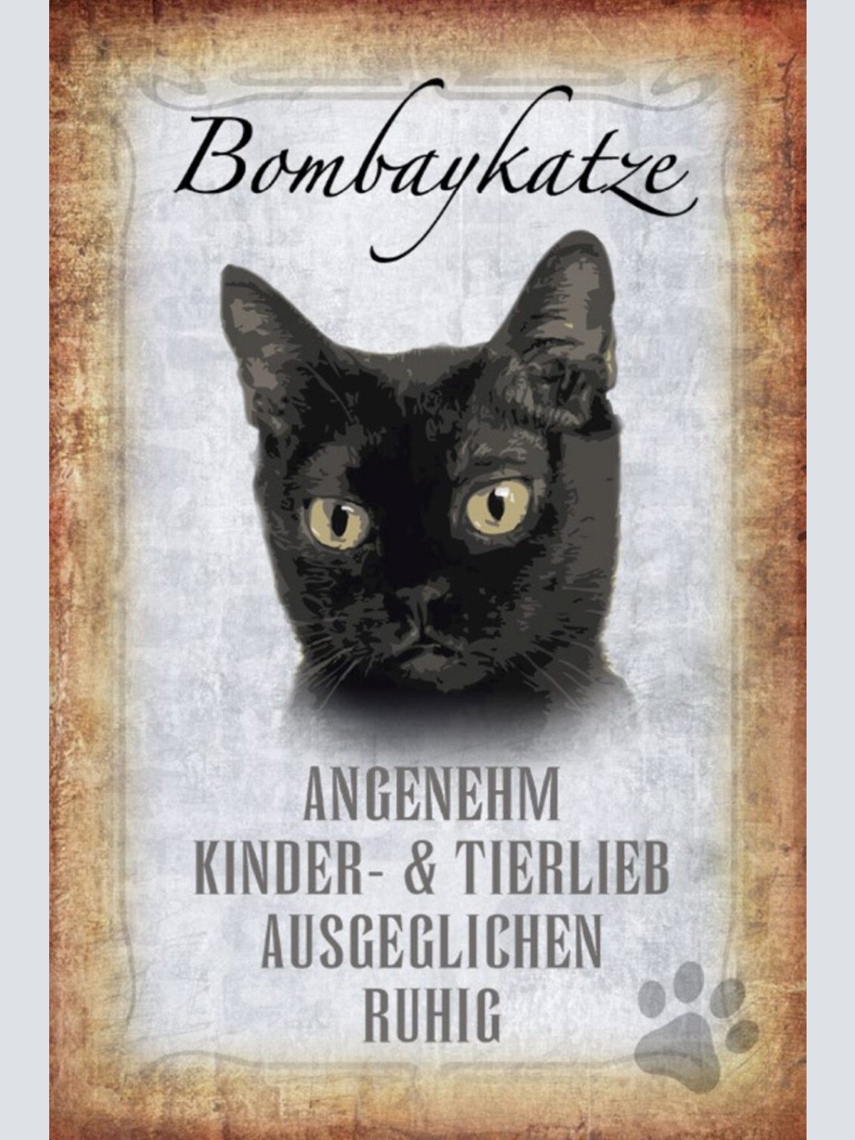 Schild Spruch Bombaykatze Steckbrief Angenehm Ausgeglichen JW