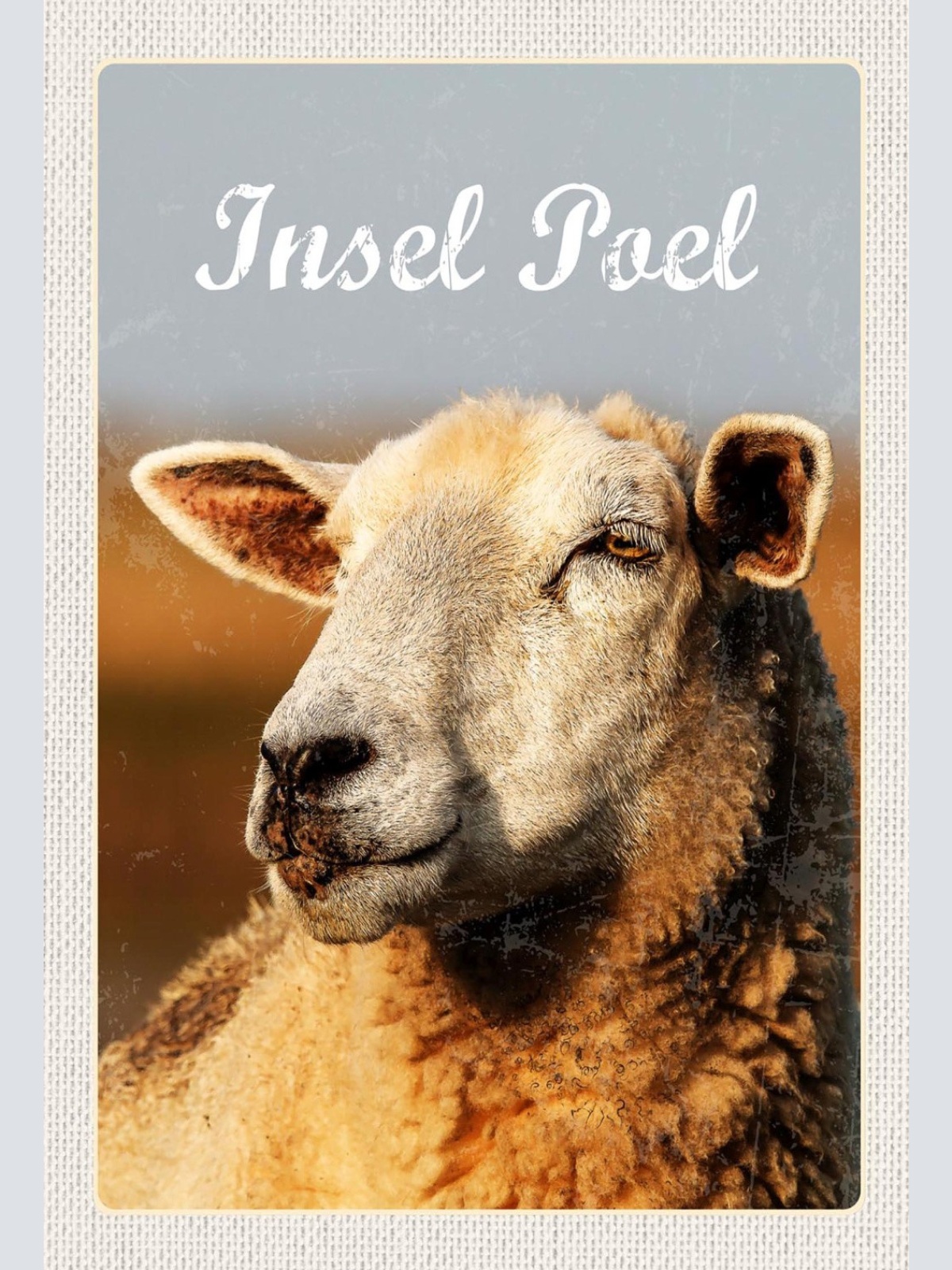 Schild Spruch Insel Poel Schaf JW