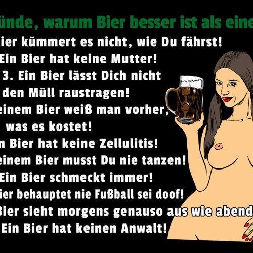 Schild Spruch 10 Gründe warum Bier besser ist als eine Frau Alkohol Sexy JW