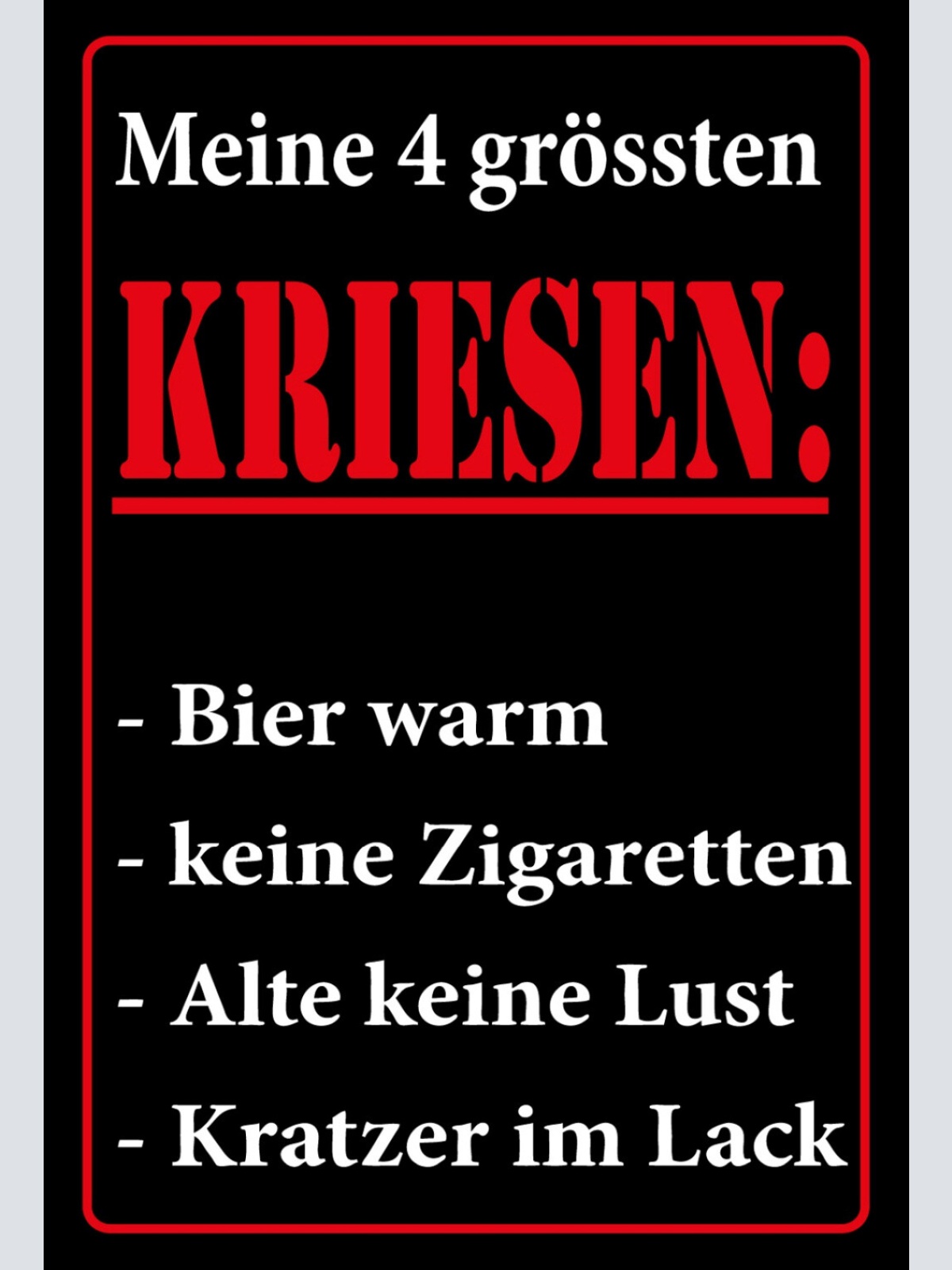 Schild Spruch Meine 4 größten Krisen Bier warm Keine Zigaretten Alkohol JW
