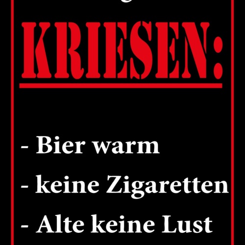 Schild Spruch Meine 4 größten Krisen Bier warm Keine Zigaretten Alkohol JW
