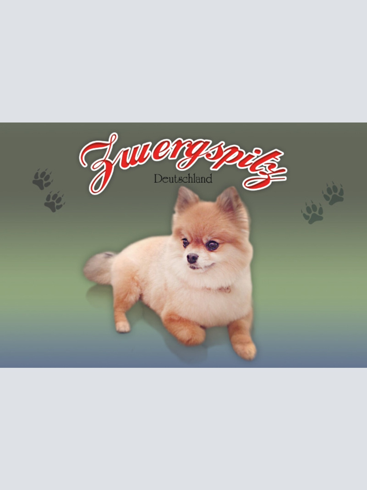 Schild Spruch Zwergspitz Hund Deutschland JW