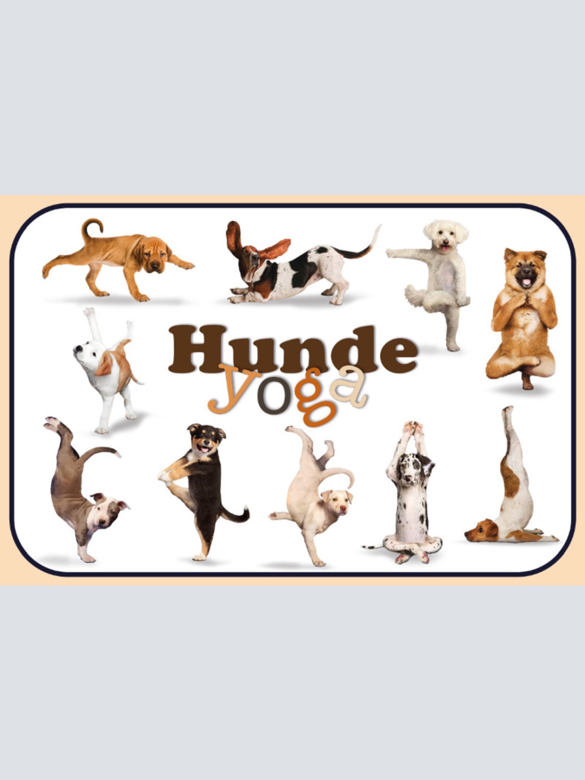 Schild Spruch Hunde Yoga JW