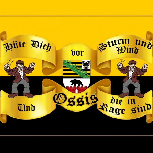 Schild Spruch Hüte dich vor Strum und Wind und Ossis die in Rage sind DDR JW