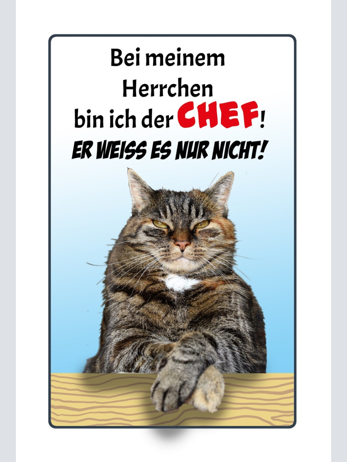 Schild Spruch Bei meinem Herrchen bin ich der Chef Er weiß es nur nicht Katze JW
