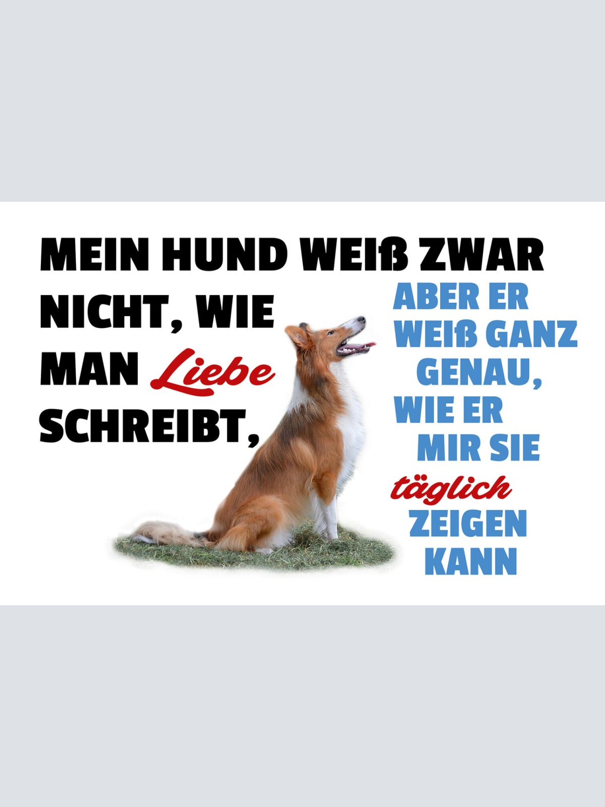 Schild Spruch Mein Hund weiß zwar nicht wie man Liebe schreibt zeigt sie mir  JW