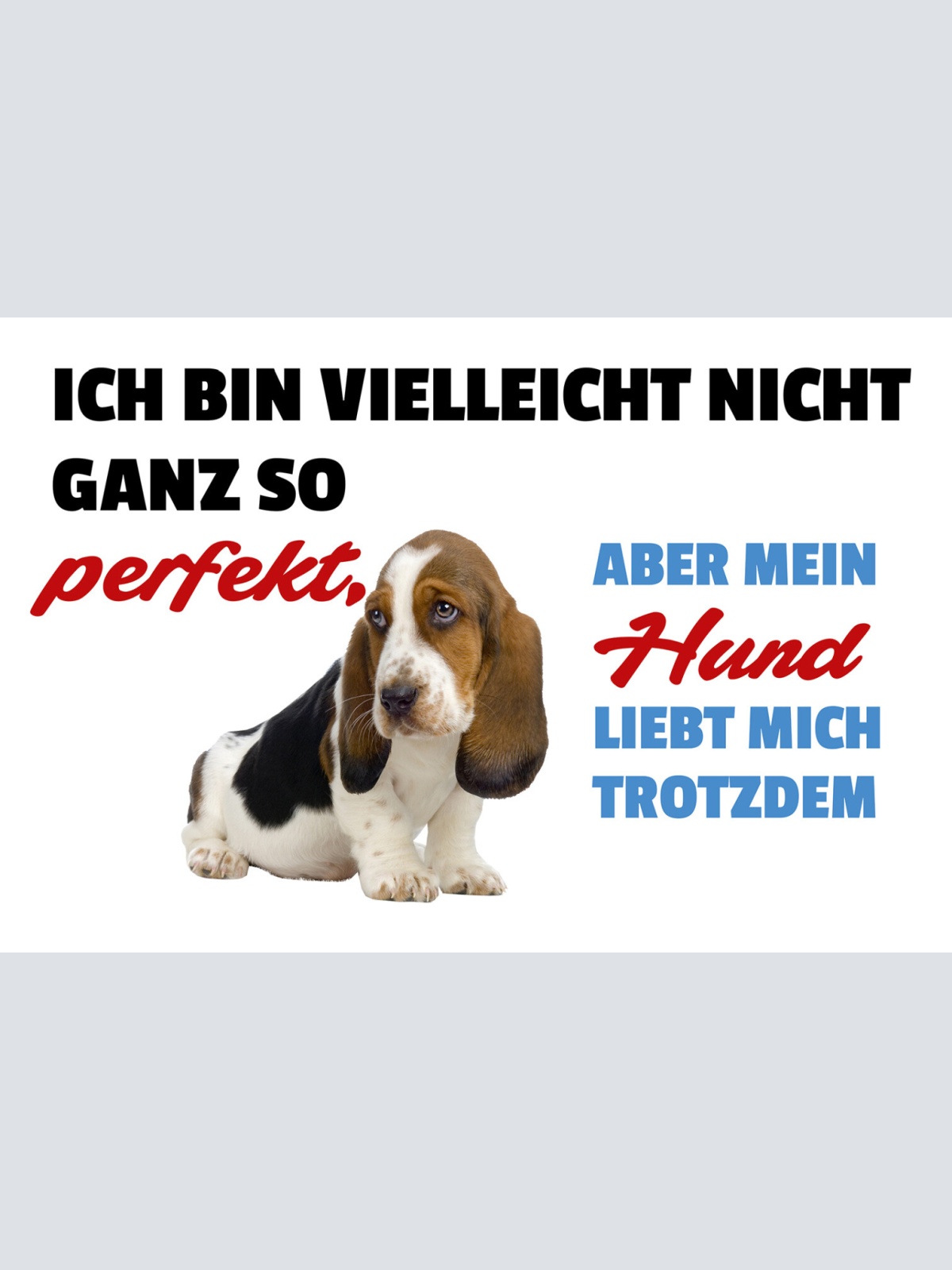 Schild Spruch Ich bin vielleicht nicht so perfekt Hund liebt mich trotzdem JW