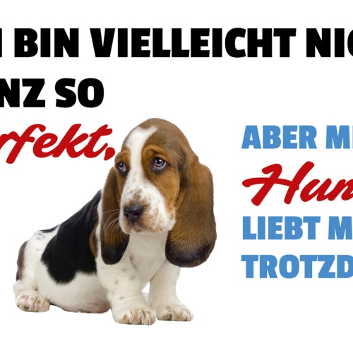 Schild Spruch Ich bin vielleicht nicht so perfekt Hund liebt mich trotzdem JW