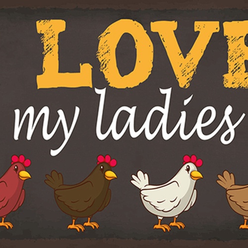 Schild Spruch I love my ladies Ich liebe meine Damen Hennen JW