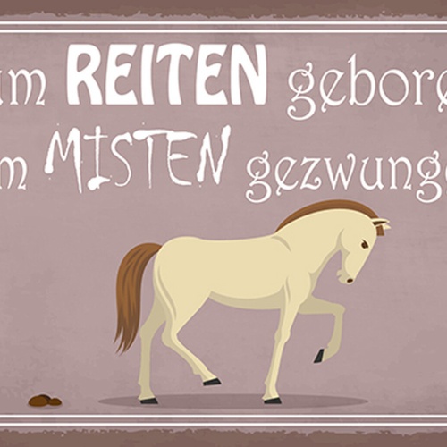 Schild Spruch Zum Reiten geboren Zum Misten gezwungen Pferd JW