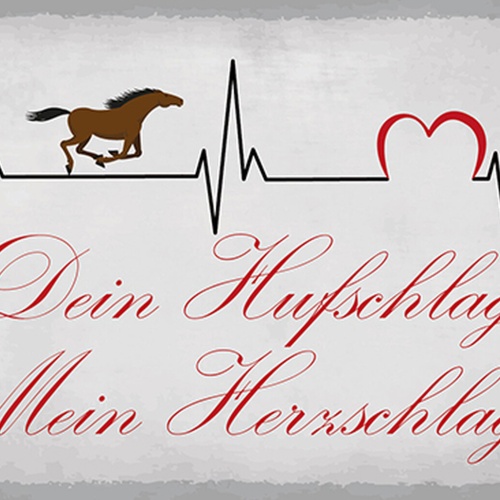 Schild Spruch Dein Hufschlag Mein Herzschlag Pferd Liebe JW