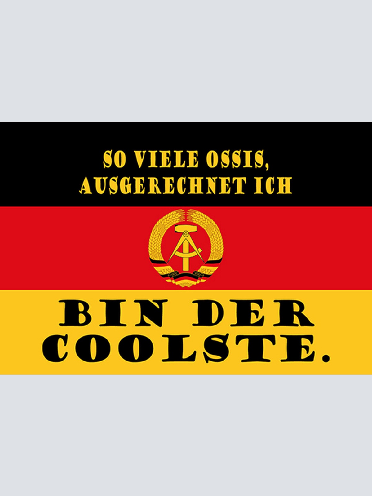 Schild Spruch So viele Ossis Ausgerechnet ich bin der Coolste DDR Flagge JW