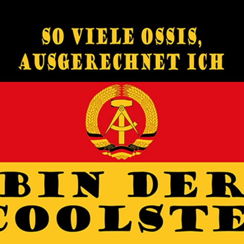 Schild Spruch So viele Ossis Ausgerechnet ich bin der Coolste DDR Flagge JW