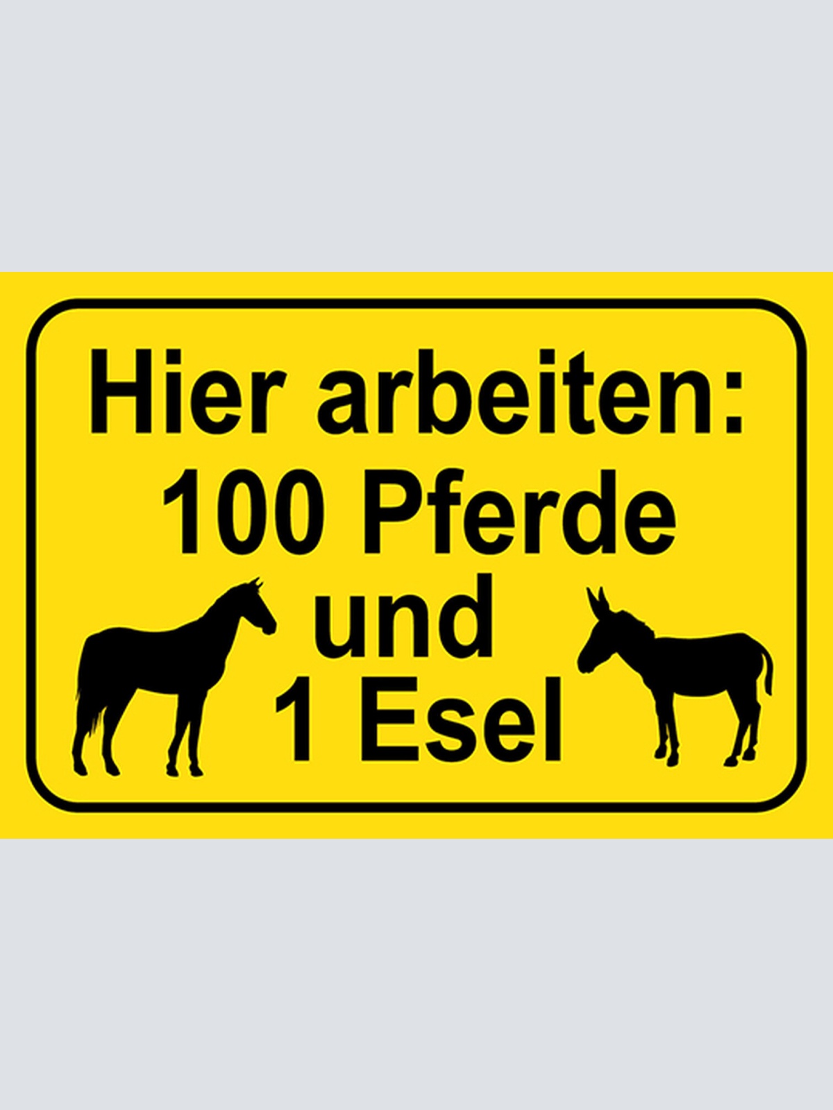 Schild Spruch Hier arbeiten 100 Pferde und 1 Esel JW
