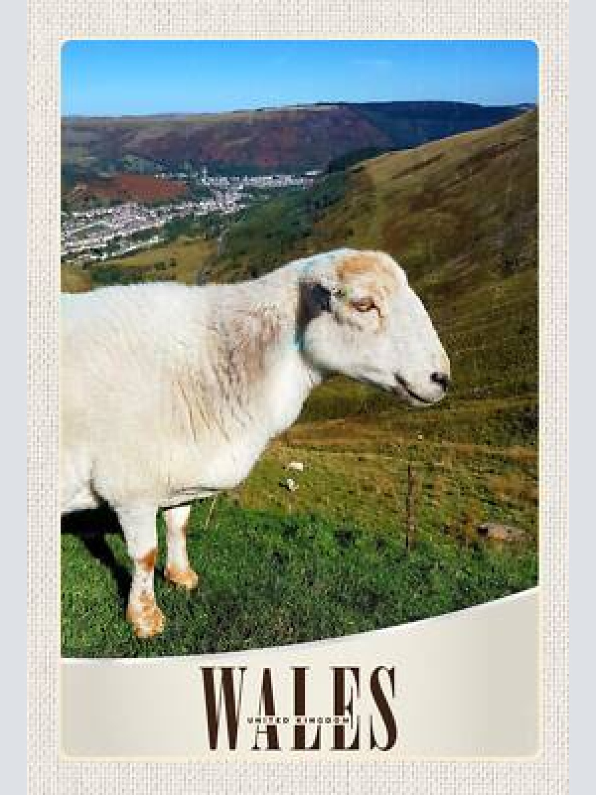 Schild spruch wales united kingdom vereinigtes königreich schaf hügel jw