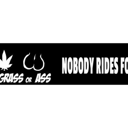 Schild Gas Grass Ass Benzin Gras Hintern Ride Free Reiten 46 x 10 Blech od. Holz