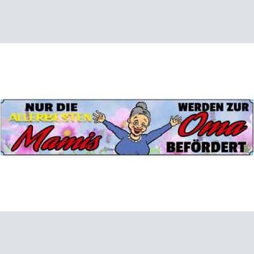 Schild besten mamis mama mutter oma großmutter beförderung 46 x 10 blech od.holz
