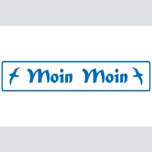 Schild Moin Moin Gruß Guten Morgen Tag Hallo Servus Ciao 46 x 10 Blech od. Holz