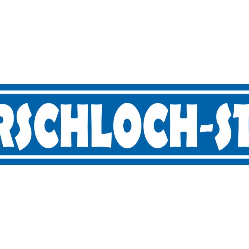 Schild Arschloch Straße Ort Gasse Fluchen Beschimpfung 46 x 10 Blech od. Holz