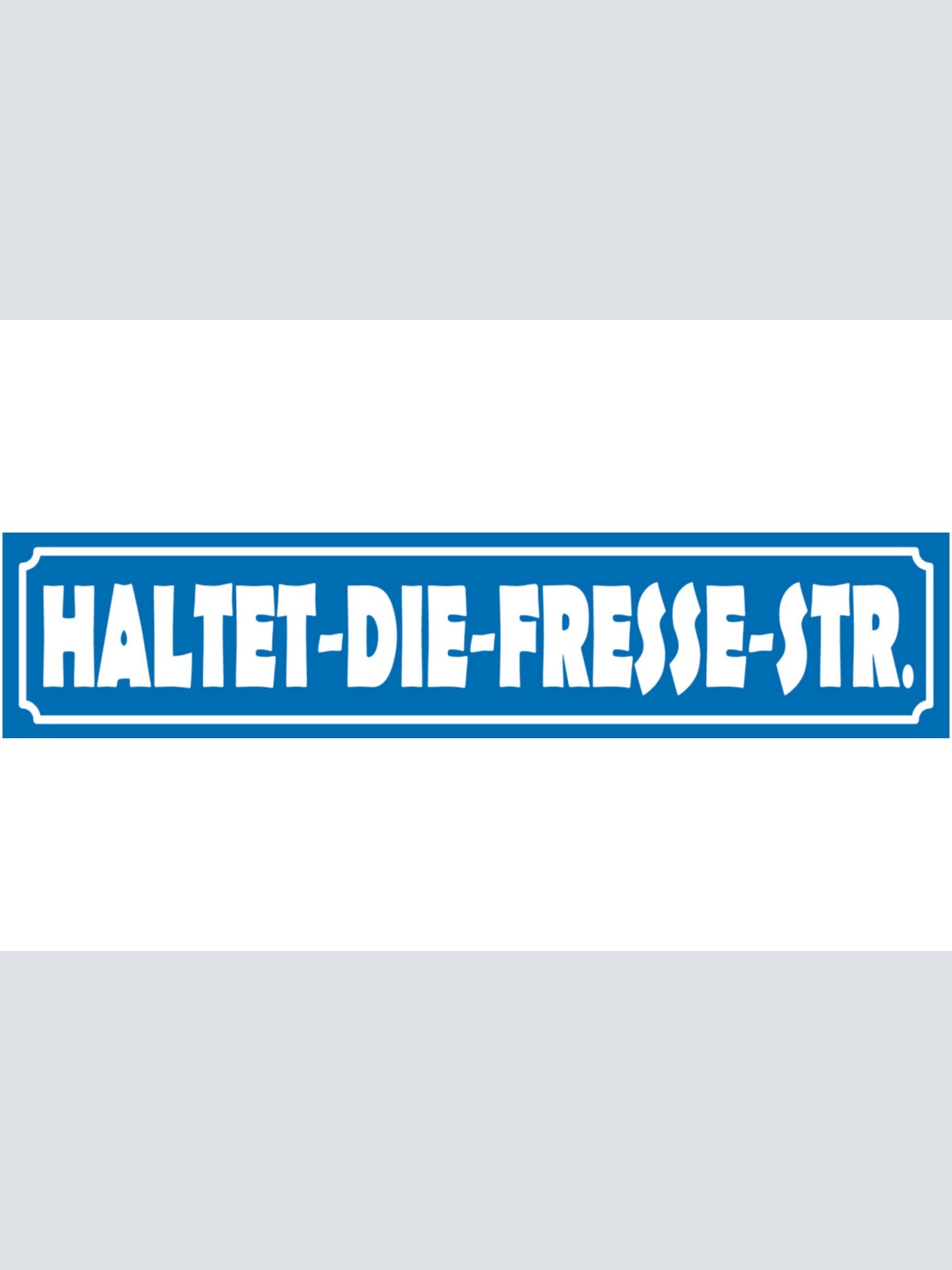 Schild Haltet Fresse Straße Ort Gasse Fluchen Beschimpfung 46 x 10 Blech od.Holz