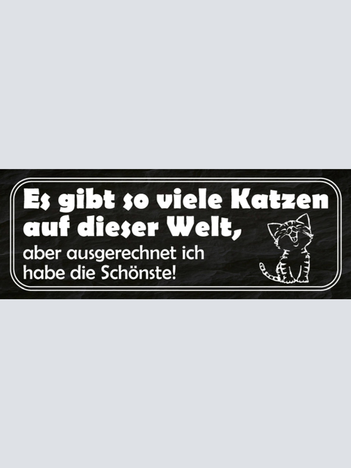 Schild Es Gibt Viele Katzen Auf Der Welt Aber Ausgerechnet Ich Hab Die Schönste