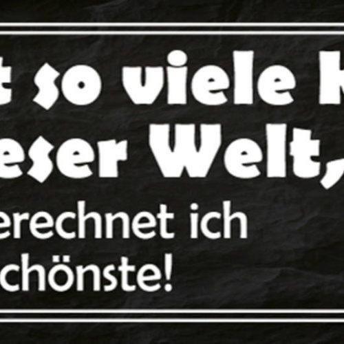 Schild Es Gibt Viele Katzen Auf Der Welt Aber Ausgerechnet Ich Hab Die Schönste