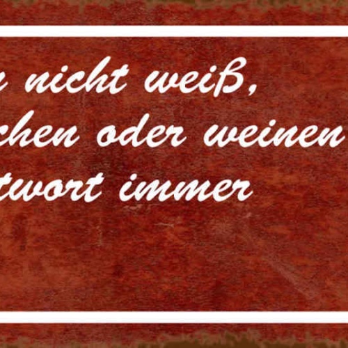 Schild Wenn Man Nicht Wissen Ob Man Lachen Oder Weinen Soll Ist Die Antwort Wein