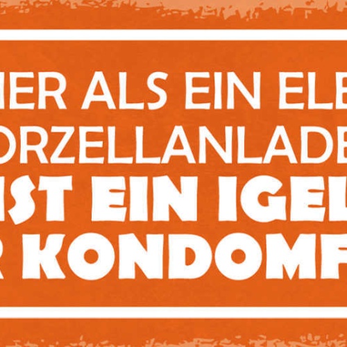 Schild Schlimmer Als Ein Elefant Im Porzellanladen Ist Ein Igel In Kondom Fabrik
