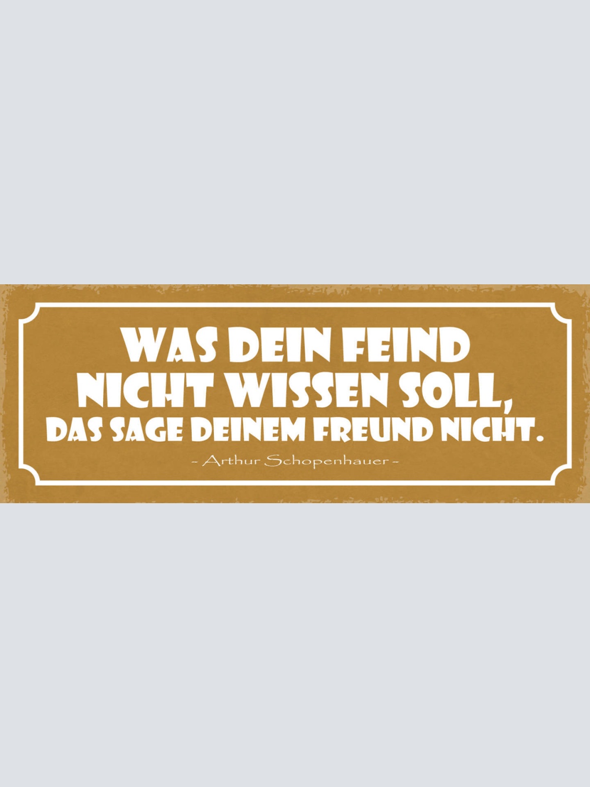 Schild Was Dein Feind Nicht Wissen Soll Das Sage Deinem Freund Nicht 27x10