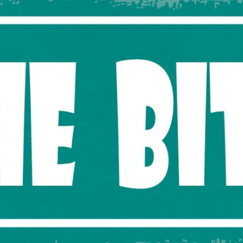 Schild Ruhe Bitte Ruhig Still Stille Lautstärke Nachtruhe 27x10 Blech od.Holz