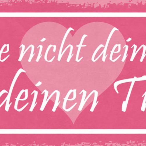 Schild Träume Nicht Dein Leben Lebe Deinen Traum Wunsch Ziel 27x10 Blech od.Holz