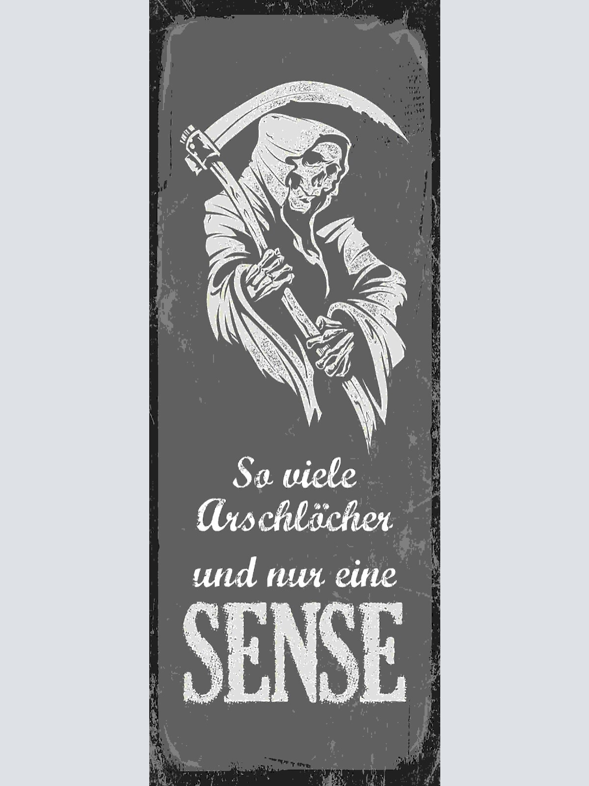 Schild So Viele Arschlöcher & Nur Eine Sense Tod Leben 27x10 Blech od.Holz