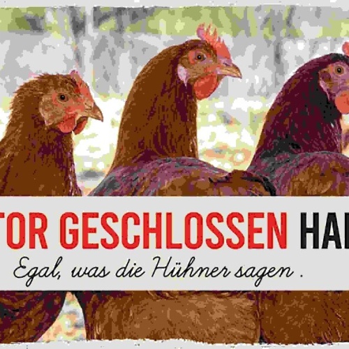 Schild Bitte Tor Geschlossen Halten Egal Was Die Hühner Sagen 27x10Blech od.Holz