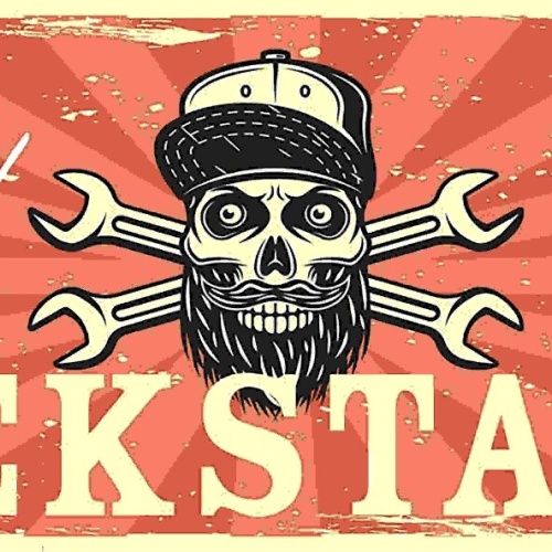 Schild Werkstatt Ohne Scheiß Wir Lösen Probleme Mechaniker 27x10 Blech od.Holz