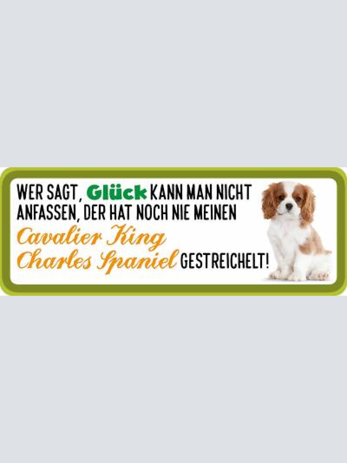 Schild wer sagt glück kann man nicht anfassen charles spaniel gestreichelt hund