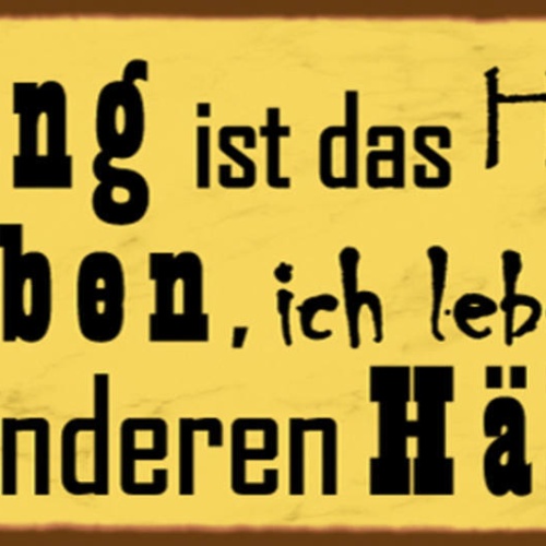 Schild Ordnung Ist Das Halbe Leben Ich Lebe In Der Anderen Hälfte Chaos 27 x 10