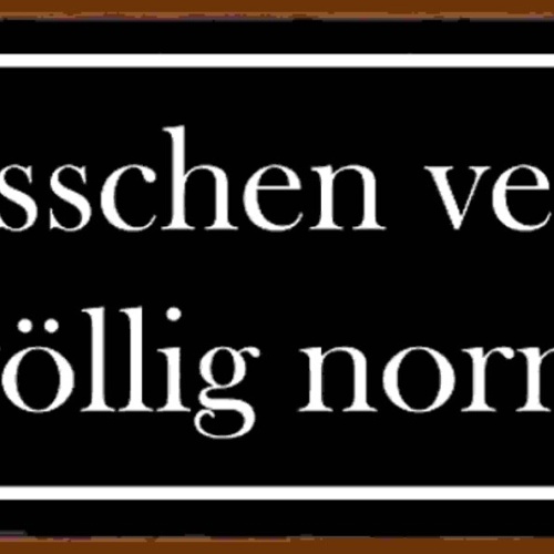 Schild Ein Bisschen Verrückt Ist Völlig Normal Einzigartig 27 x 10 Blech od.Holz
