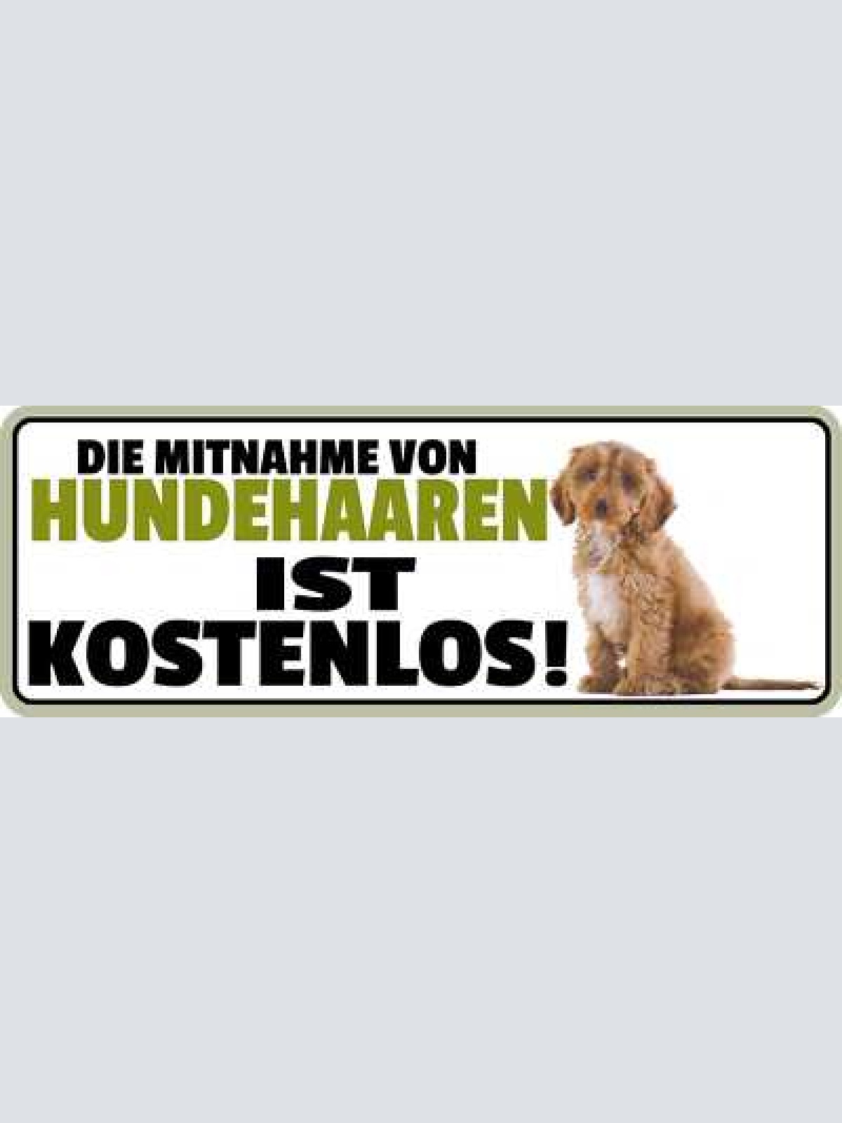 Schild die mitnahme von hunde haare ist kostenlos 27 x 10 blech od. holz