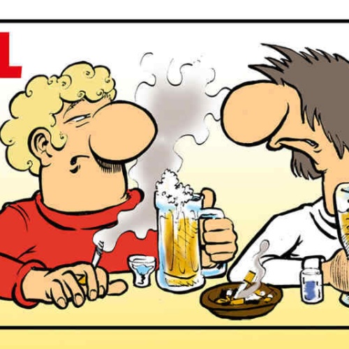 Schild Alkohol Löst Keine Probleme Aber Das Tut Milch Ja Auch Nicht 27 x 10